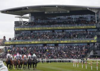 Grand National at Aintree: the five sub plots surrounding it