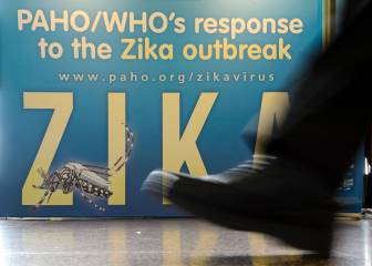 Experts seek Rio Games move over Zika virus fears
