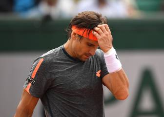 Ferrer labels French Open 
