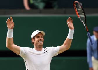 Andy Murray wins Wimbledon