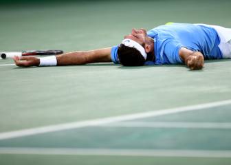 Del Potro sees off Nadal and faces Murray for gold