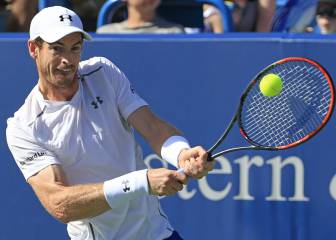 Murray plays down bad blood rematch with Rosol