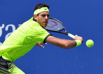 Del Potro amazed to be thrust back into the limelight