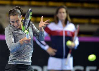 Czechs look to extend winning run in Fed Cup against France