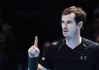Murray tipped for knighthood after incredible rise to No 1
