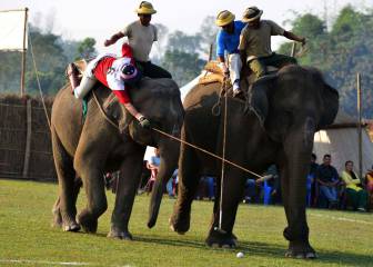 Nepal to call time on elephant polo world championships