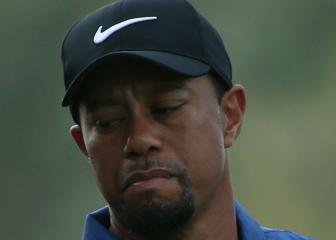 Tiger Woods was asleep at wheel, police say