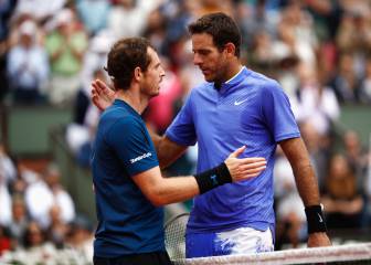 Murray sees off Del Potro to keep title tilt on track in Paris