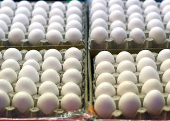 How do you like your eggs, Norway? By the thousand...