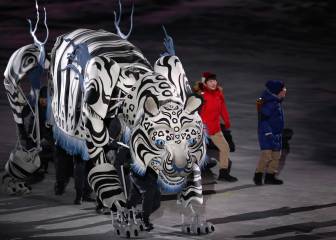 Dazzling opening ceremony launches PyeongChang Winter Olympics