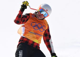 Canadian skier apologises after alleged drunken car theft