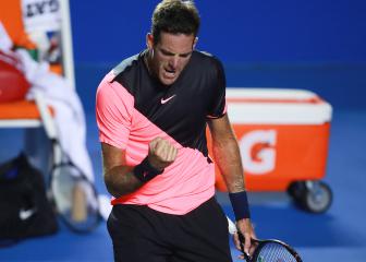 Del Potro, Tsurenko claim Acapulco title triumphs