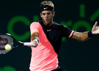 Del Potro beats Raonic for 15th straight win, faces Isner in semis