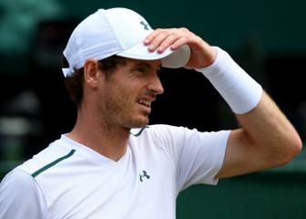 Andy Murray set for mentor role at Hibernian