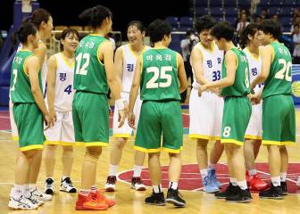 North and South Korea as one for peace and prosperity