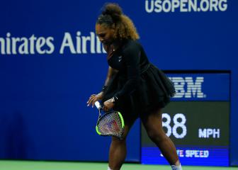 Hamilton defends 'inspiration' Williams after US Open umpire row