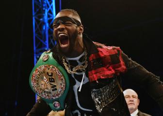 Deontay Wilder apologises for punching mascot on live TV