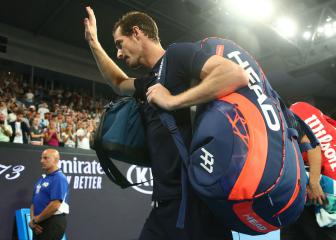 Pain-free Murray not ruling out Wimbledon doubles return