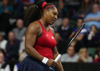 Serena loses first Fed Cup game but USA reach finals