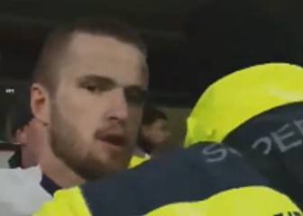 Dier confronts fan over abuse of player's brother