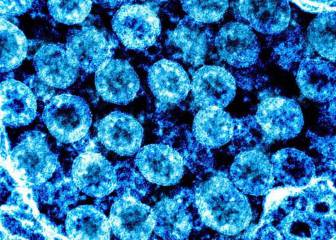 Coronavirus: 7 types of human coronavirus