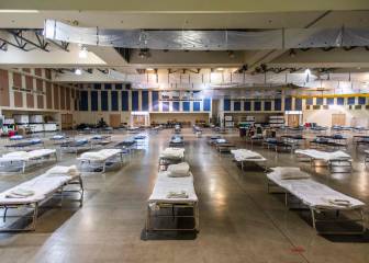 India coronavirus situation: total cases and deaths