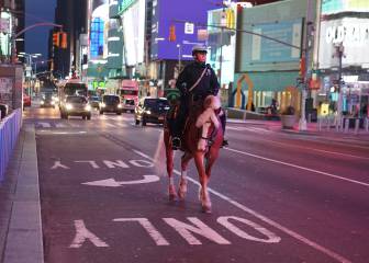 USA coronavirus situation: total cases and deaths