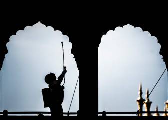 India coronavirus situation: total cases and deaths