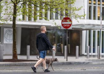 USA coronavirus situation: total cases and deaths