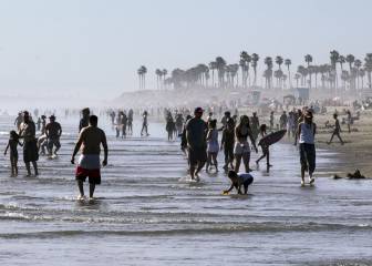 Coronavirus USA news summary: 24 April