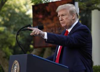 Trump is sued for denying stimulus checks to Americans married to immigrants