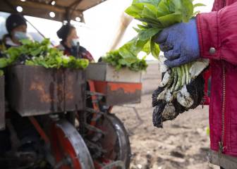 How immigrants in California can claim their stimulus check