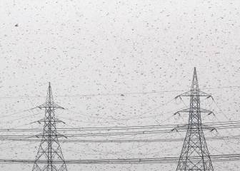 Coronavirus live: India latest news