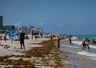 Coronavirus US: are beaches in Florida open?