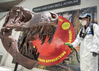 Coronavirus USA live updates: news summary for July 4th