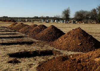 Coronavirus Africa summary: cases, deaths and news - 24 July