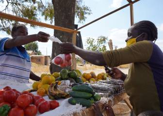 Coronavirus live: Africa latest news