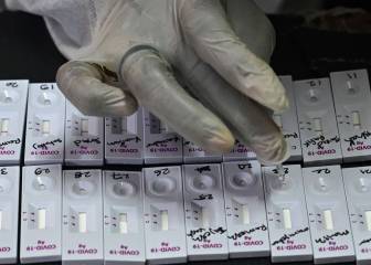 Serum Institute of India halts Oxford Covid-19 vaccine trial