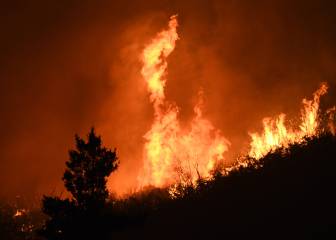 US wildfires update: which zones have been affected?