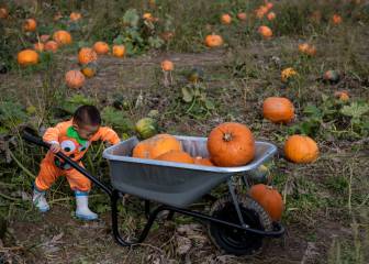 What's the origin of Halloween?