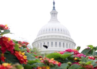 Second stimulus check: will there be a new payment in November?