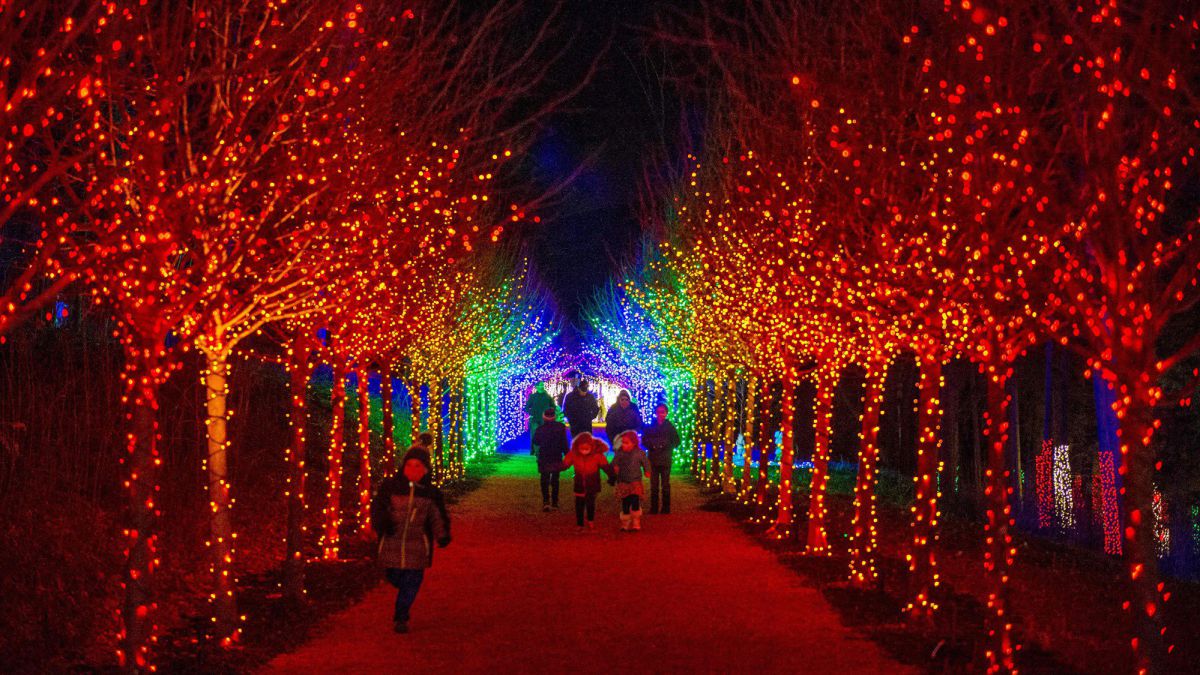 Christmas Lights Huntsville Al 2021