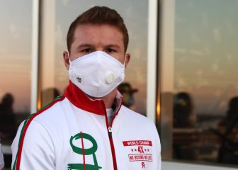 What is Saúl 'Canelo' Álvarez's net worth?