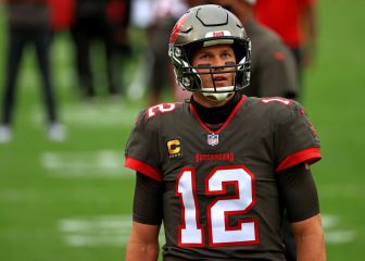 How many NFL Playoff appearances has Tom Brady made in his career?