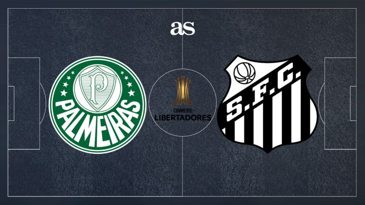 Palmeiras-Santos: Copa Libertadores 2020 final: how and where to watch, times, TV, online