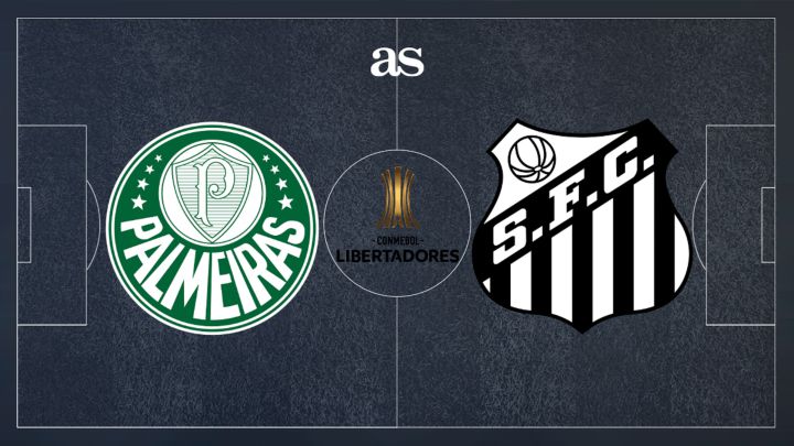 Santos and Palmeiras meet in Rio for all-Brazilian Copa Libertadores final, Copa Libertadores