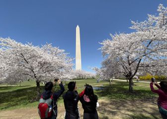 Third stimulus check missing: why it could be taking longer and when to expect it