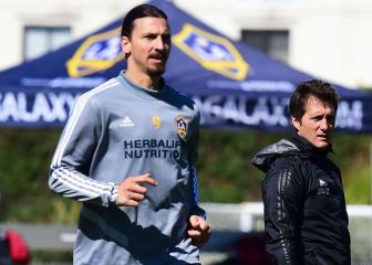 Barros Schelotto was impressed by Ibrahimovic’s professionalism