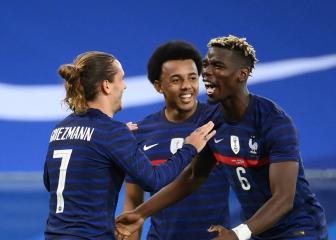 Pogba: France success 