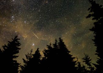 Perseid meteor shower: when and how to view it at its peak